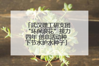 武汉理工研支团“环保浪花”接力四年 创意活动种下节水护水种子