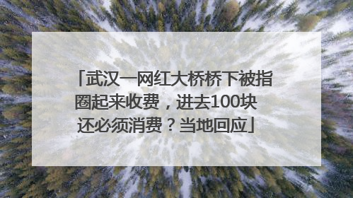 武汉一网红大桥桥下被指圈起来收费，进去100块还必须消费？当地回应