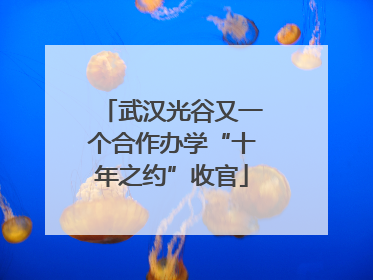 武汉光谷又一个合作办学“十年之约”收官