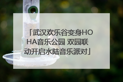 武汉欢乐谷变身HOHA音乐公园 双园联动开启水陆音乐派对