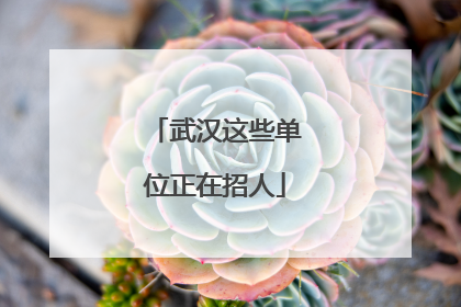 武汉这些单位正在招人