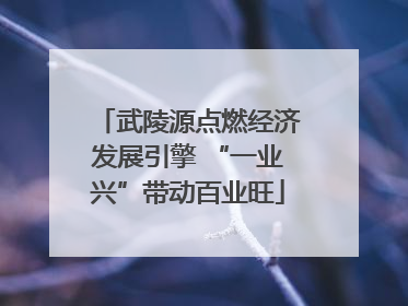 武陵源点燃经济发展引擎 “一业兴”带动百业旺
