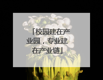 校园建在产业园，专业建在产业链