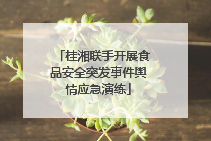 桂湘联手开展食品安全突发事件舆情应急演练