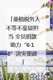 桑植税务人不等不靠显担当 全员捐款助力“6·18”洪灾重建