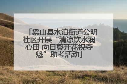 梁山县水泊街道公明社区开展“清凉饮水润心田 向日葵开花祝夺魁”助考活动