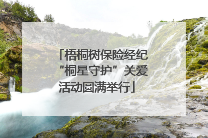 梧桐树保险经纪“桐星守护”关爱活动圆满举行