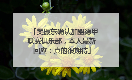 樊振东确认加盟德甲联赛俱乐部，本人最新回应：真的很期待
