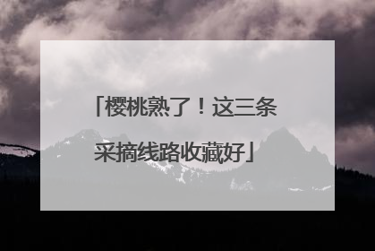 樱桃熟了！这三条采摘线路收藏好