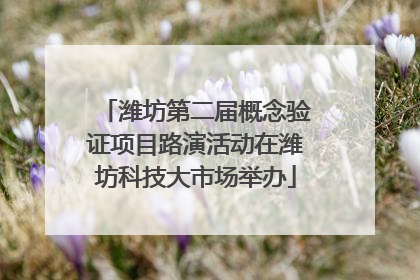 潍坊第二届概念验证项目路演活动在潍坊科技大市场举办