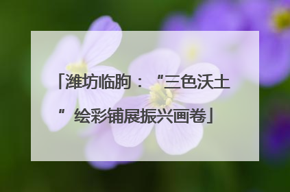 潍坊临朐：“三色沃土”绘彩铺展振兴画卷
