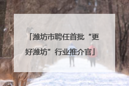 潍坊市聘任首批“更好潍坊”行业推介官