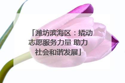 潍坊滨海区：撬动志愿服务力量 助力社会和谐发展