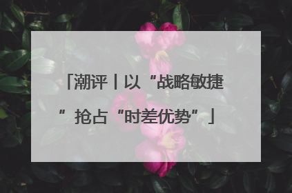 潮评丨以“战略敏捷”抢占“时差优势”