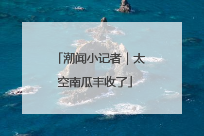 潮闻小记者｜太空南瓜丰收了
