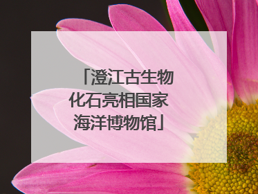 澄江古生物化石亮相国家海洋博物馆