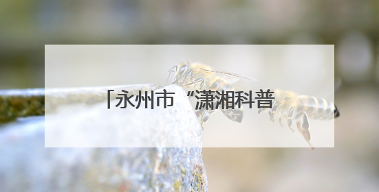 永州市“潇湘科普行”科普进校园暨冷水滩区第二届校园科技活动开幕