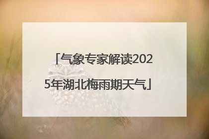 气象专家解读2025年湖北梅雨期天气