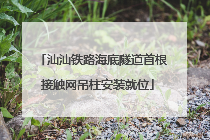 汕汕铁路海底隧道首根接触网吊柱安装就位