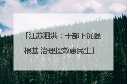 江苏泗洪：干部下沉强根基 治理提效惠民生