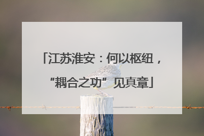 江苏淮安：何以枢纽，“耦合之功”见真章