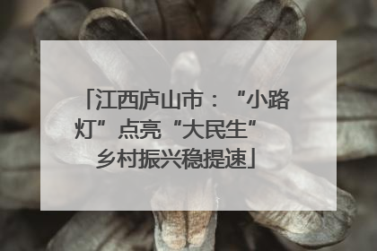 江西庐山市：“小路灯”点亮“大民生” 乡村振兴稳提速