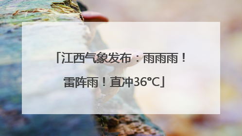 江西气象发布：雨雨雨！雷阵雨！直冲36°C