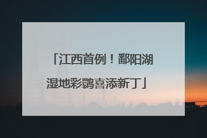 江西首例！鄱阳湖湿地彩鹮喜添新丁