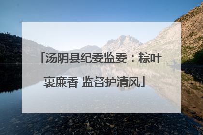汤阴县纪委监委：粽叶裹廉香 监督护清风