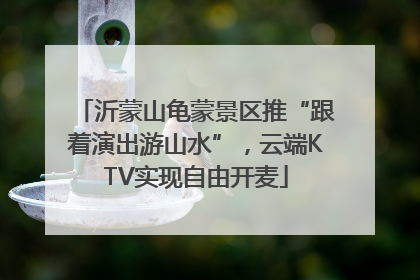 沂蒙山龟蒙景区推“跟着演出游山水”，云端KTV实现自由开麦