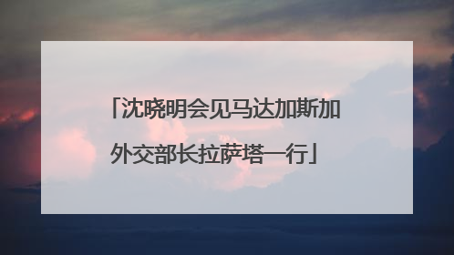 沈晓明会见马达加斯加外交部长拉萨塔一行