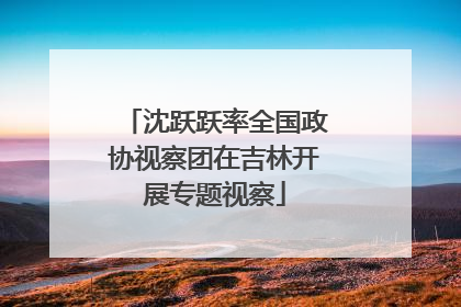 沈跃跃率全国政协视察团在吉林开展专题视察