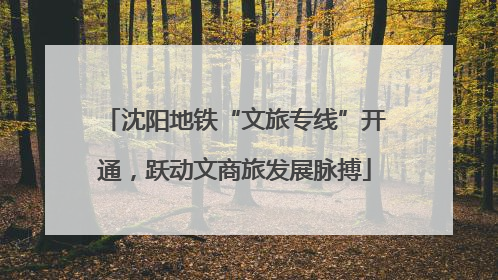 沈阳地铁“文旅专线”开通，跃动文商旅发展脉搏