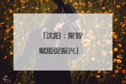沈阳：聚智赋能促振兴