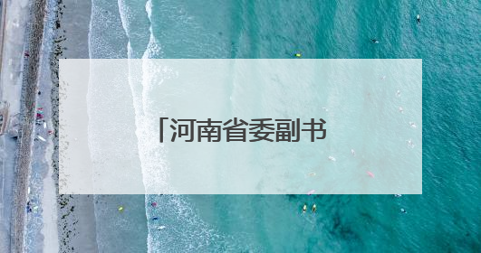 河南省委副书记张巍兼任省委政法委书记
