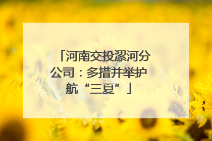 河南交投漯河分公司：多措并举护航“三夏”