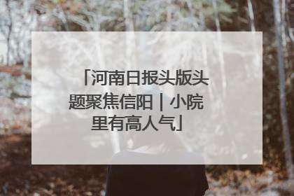 河南日报头版头题聚焦信阳｜小院里有高人气