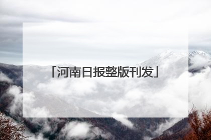 河南日报整版刊发
