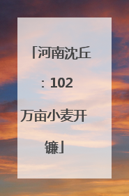 河南沈丘：102 万亩小麦开镰