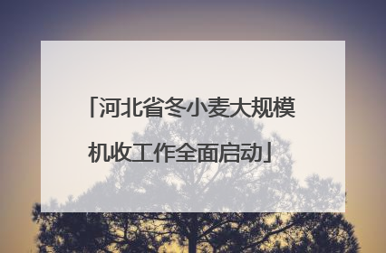 河北省冬小麦大规模机收工作全面启动