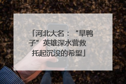 河北大名：“旱鸭子”英雄深水营救 托起沉没的希望