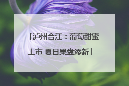 泸州合江：葡萄甜蜜上市 夏日果盘添新