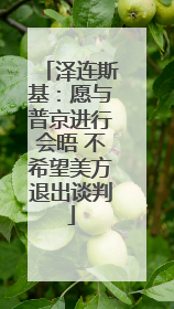 泽连斯基：愿与普京进行会晤 不希望美方退出谈判