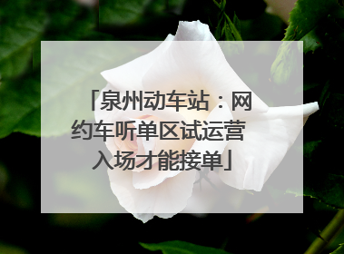 泉州动车站：网约车听单区试运营 入场才能接单