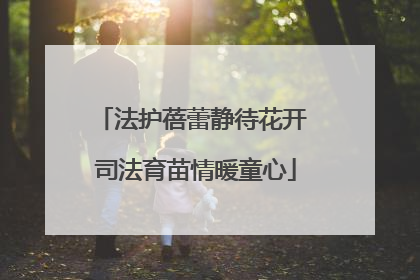 法护蓓蕾静待花开 司法育苗情暖童心