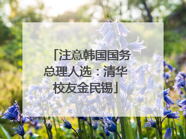 注意韩国国务总理人选：清华校友金民锡