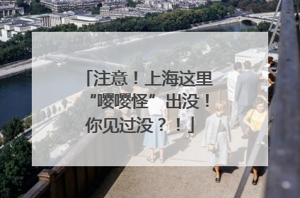 注意！上海这里“嘤嘤怪”出没！你见过没？！