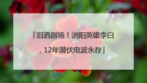 泪洒剧场！浏阳英雄李白，12年潜伏电波永存