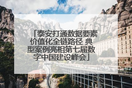 泰安打通数据要素价值化全链路径 典型案例亮相第七届数字中国建设峰会