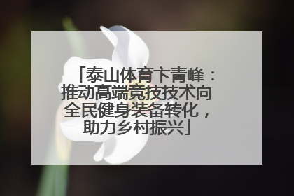 泰山体育卞青峰：推动高端竞技技术向全民健身装备转化，助力乡村振兴